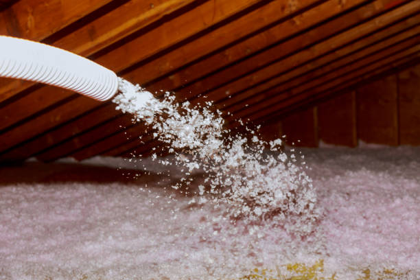 Best Energy Efficiency Solutions in Alton, IA