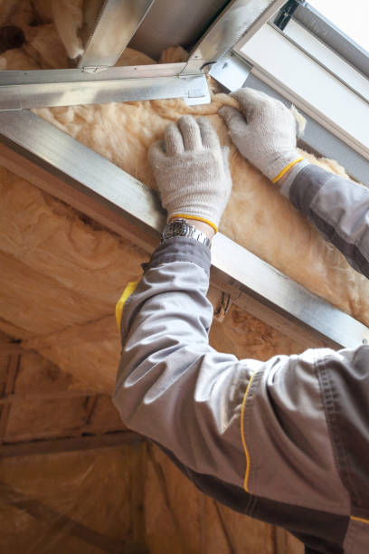 Professional Insulation Contractor in IA
