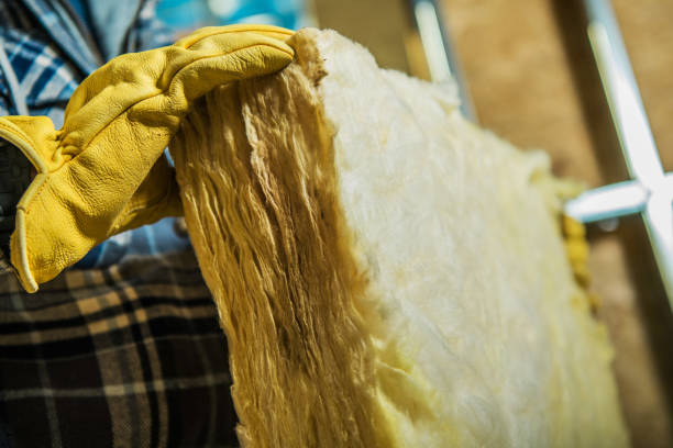 Best Specialty Insulation in Alton, IA